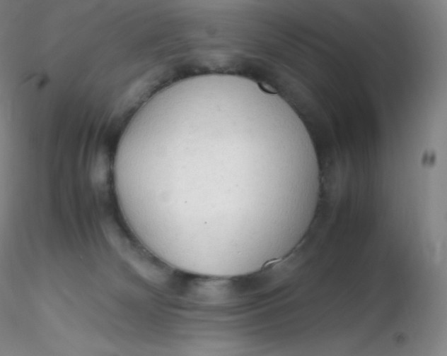 X0000116310132200912211930