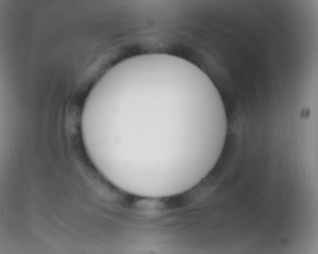 X0000116310133200912211930