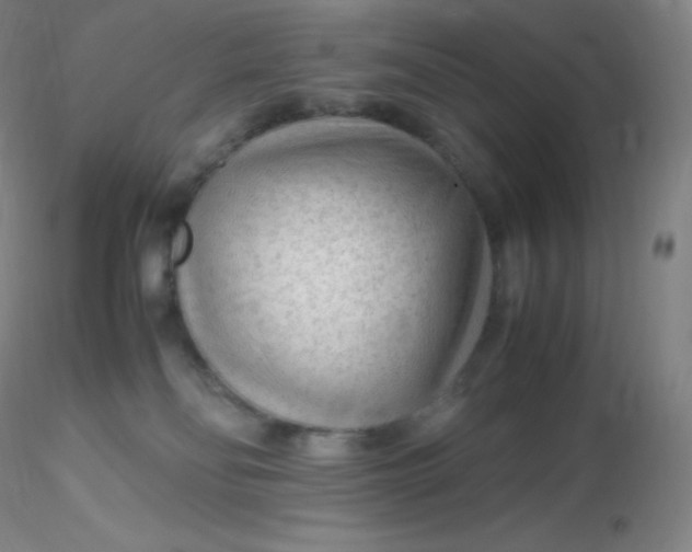 X0000116310134200912211930