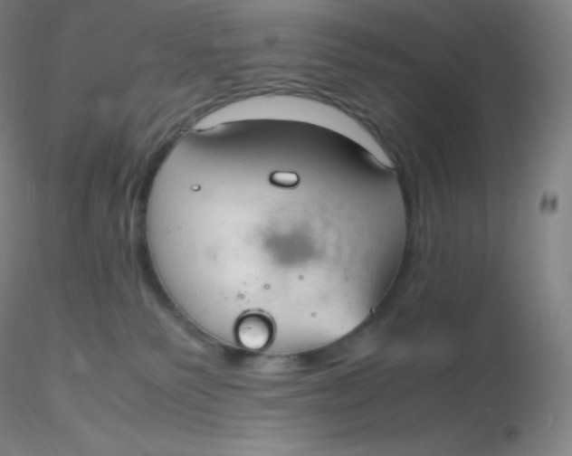 X0000116310135200912211930