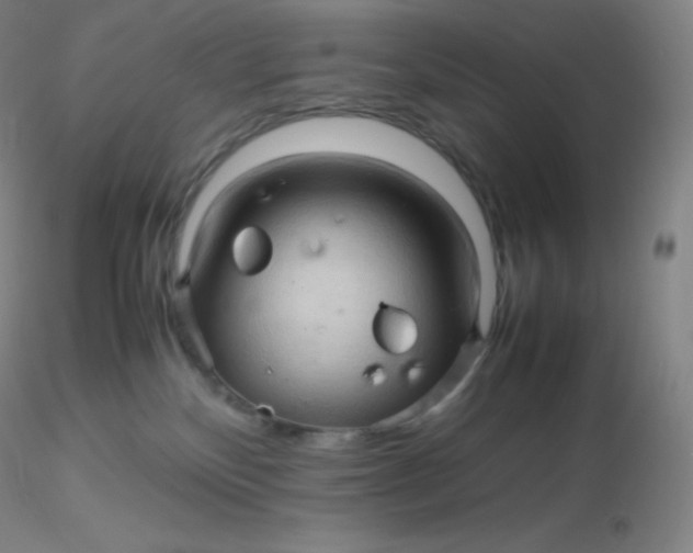 X0000116310136200912211930