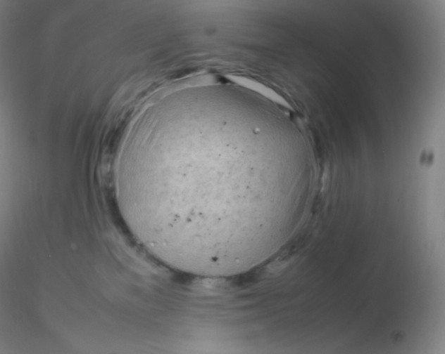 X0000116310137200912211930