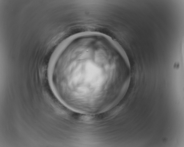 X0000116310139200912211930