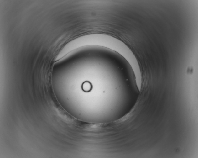 X0000116310140200912211930