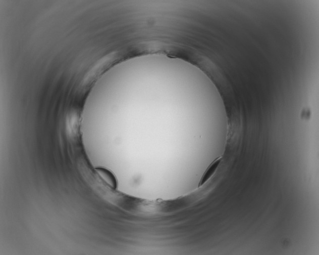 X0000116310142200912211930