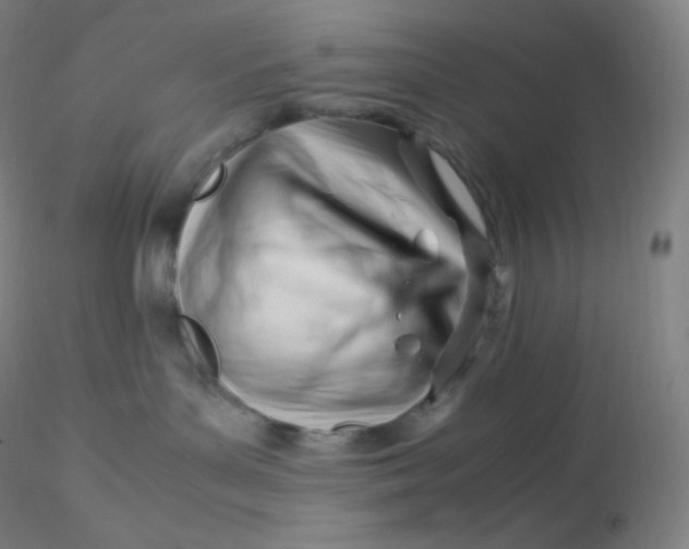 X0000116310143200912211930