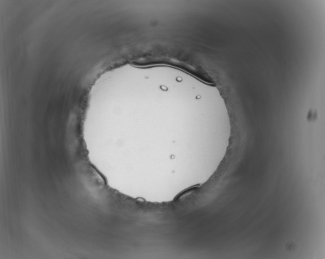 X0000116310144200912211930