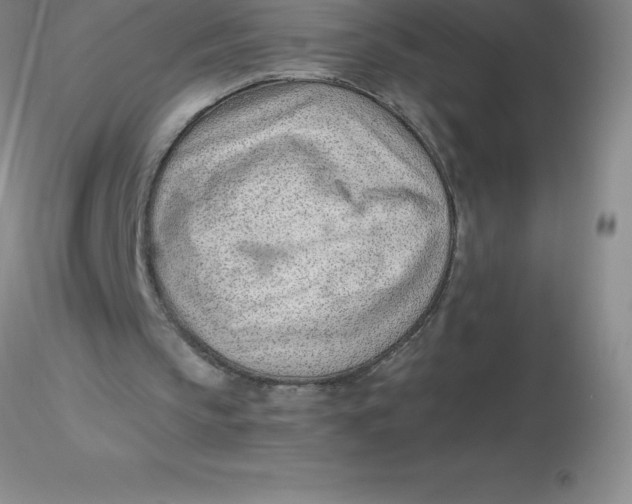 X0000116310145200912211930