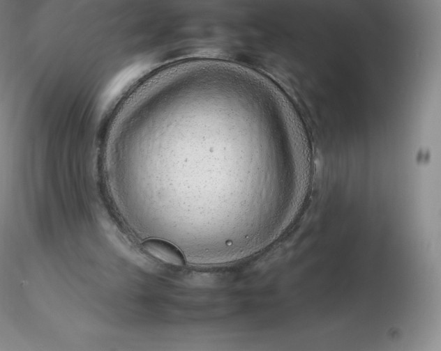 X0000116310149200912211930