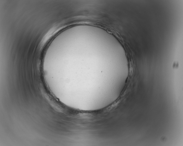 X0000116310150200912211930