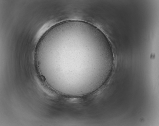 X0000116310151200912211930