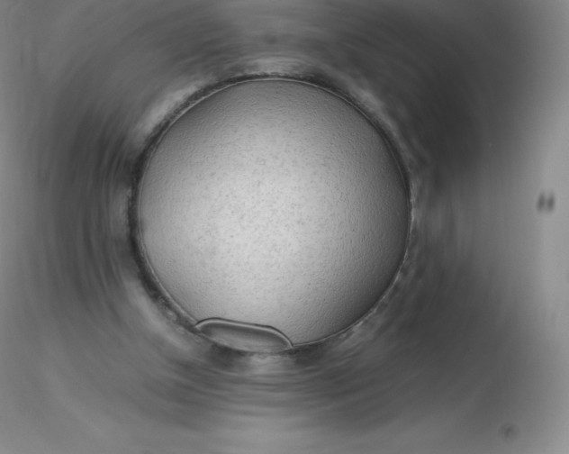 X0000116310154200912211930