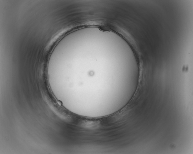 X0000116310155200912211930