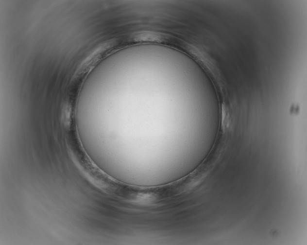 X0000116310157200912211930