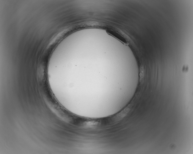 X0000116310158200912211930