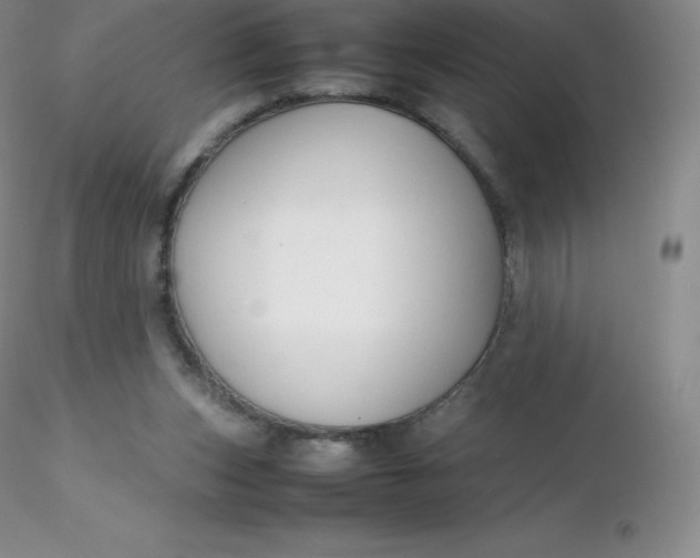 X0000116310159200912211930