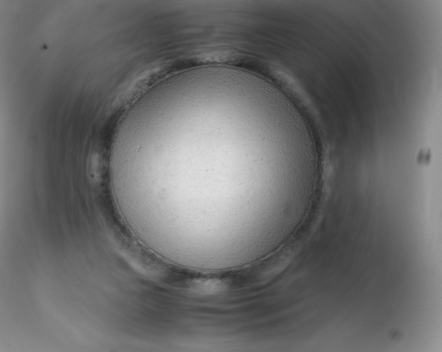 X0000116310161200912211930