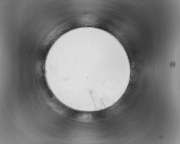 X0000116310162200912211930