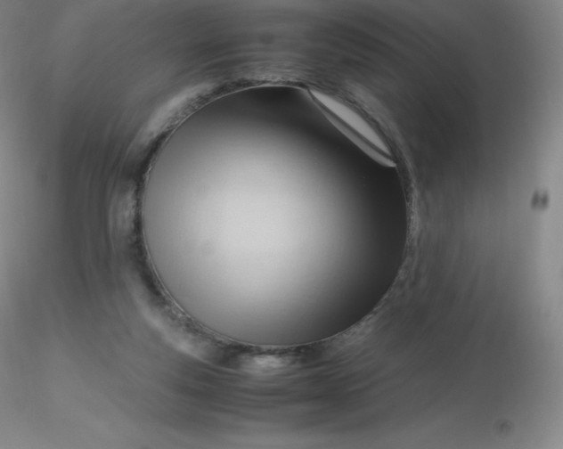 X0000116310163200912211930