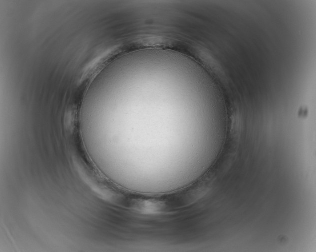 X0000116310165200912211930