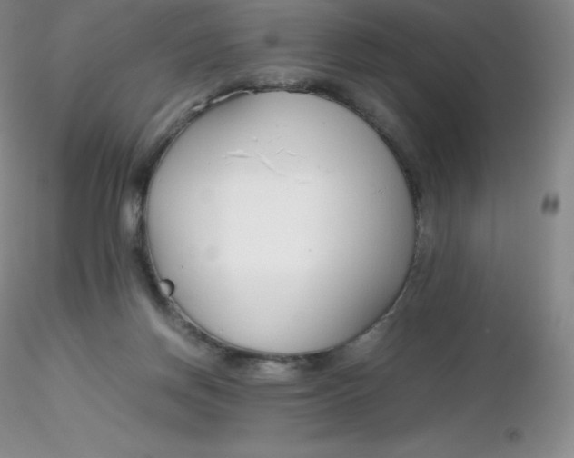 X0000116310166200912211930