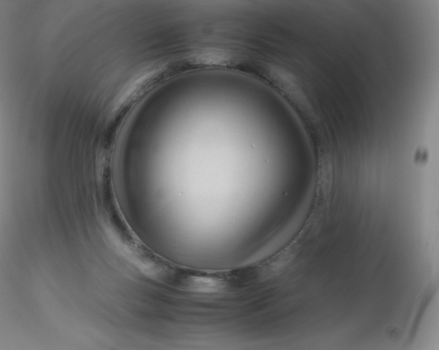 X0000116310167200912211930