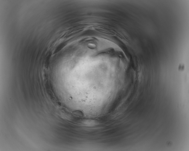 X0000116310169200912211930