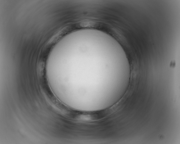 X0000116310171200912211930