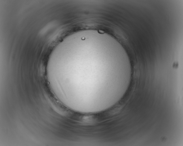 X0000116310173200912211930