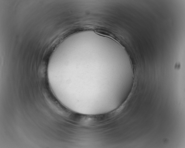 X0000116310174200912211930