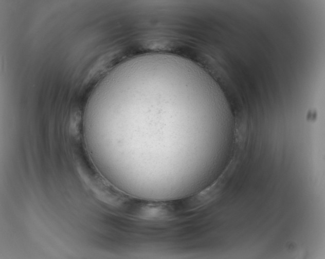 X0000116310175200912211930