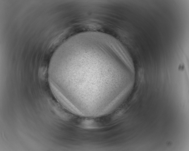 X0000116310177200912211930