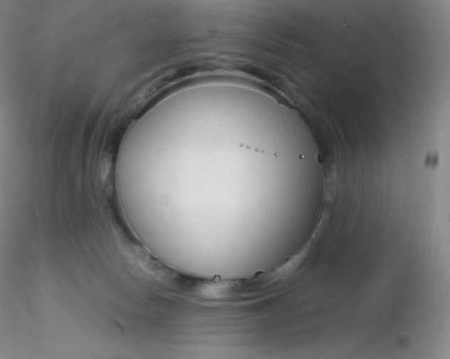 X0000116310178200912211930