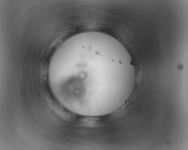 X0000116310179200912211930