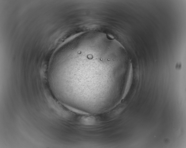 X0000116310181200912211930