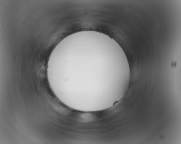 X0000116310183200912211930