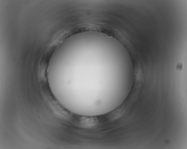 X0000116310185200912211930