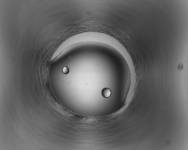 X0000116310186200912211930