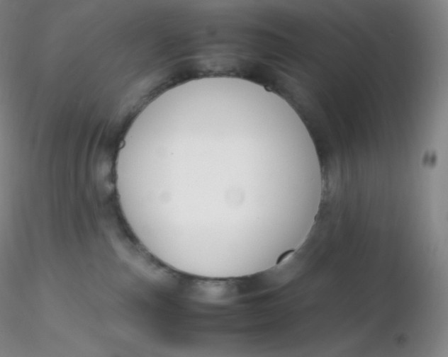 X0000116310187200912211930