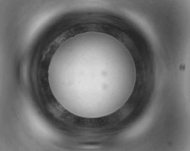 X0000116310189200912211930