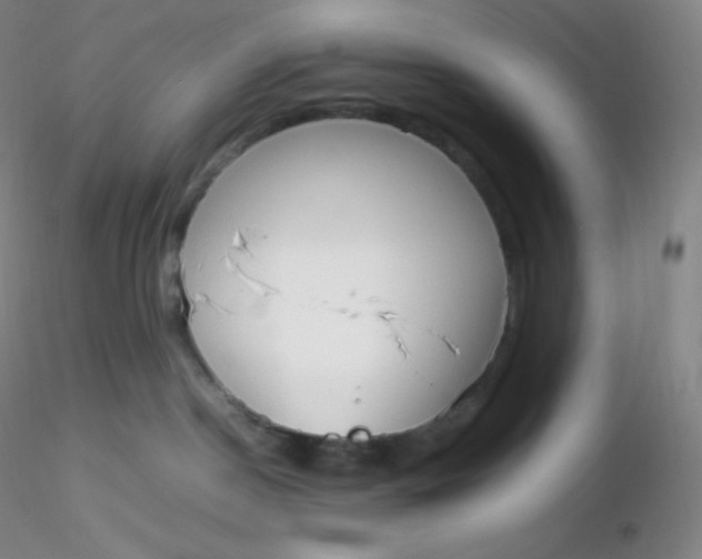 X0000116310190200912211930