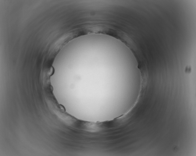 X0000116310191200912211930