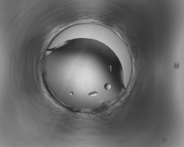 X0000116310193200912211930