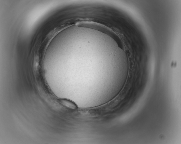 X0000116310194200912211930