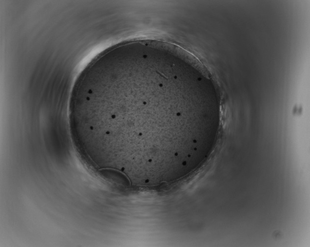 X0000116310196200912211930