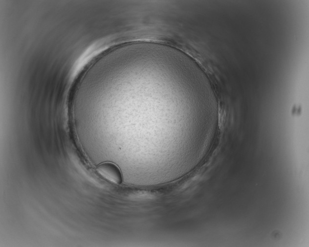 X0000116310198200912211929