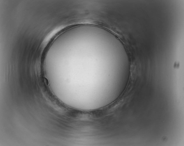 X0000116310200200912211929