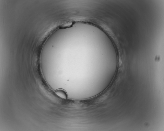 X0000116310201200912211929