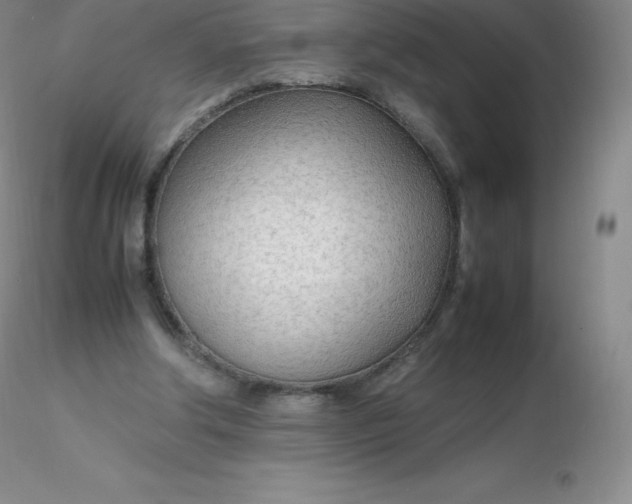 X0000116310202200912211929