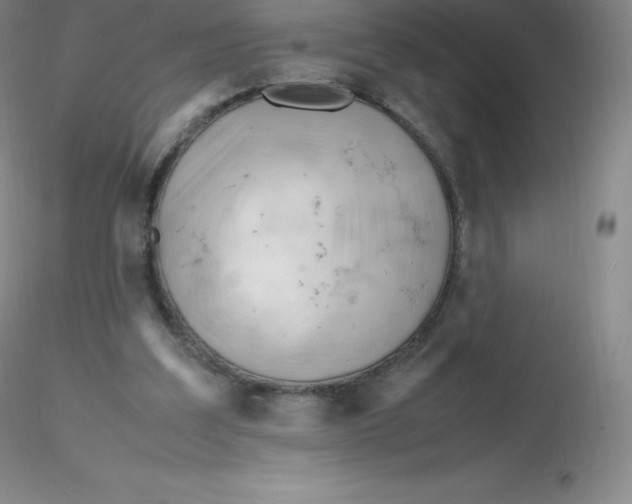 X0000116310203200912211929